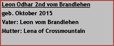 Textfeld: Leon Odhar 2nd vom Brandlehen     geb. Oktober 2015Vater: Leon vom BrandlehenMutter: Lena of Crossmountain