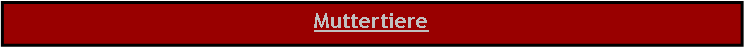 Textfeld: Muttertiere